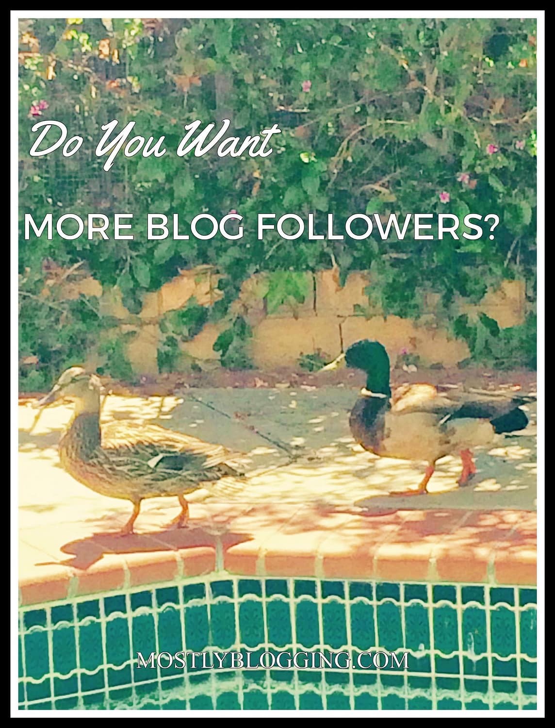 Bloggers can get more blog followers