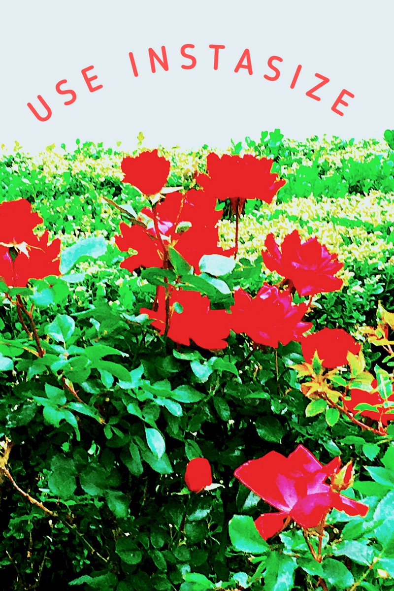 InstaSize Photo Editor Video Editor Collage Maker