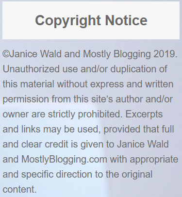 Internet Security Policy, 2019