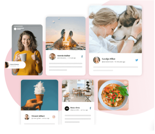 curated Instagram feed
