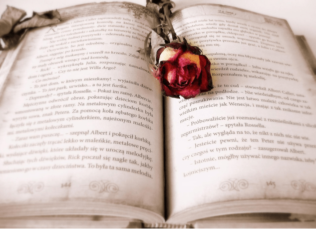 How to write a novel in 7 easy steps
