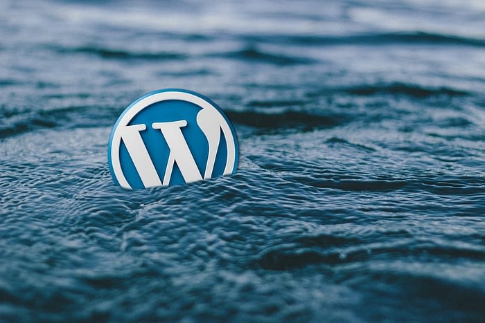 wp instagram widget