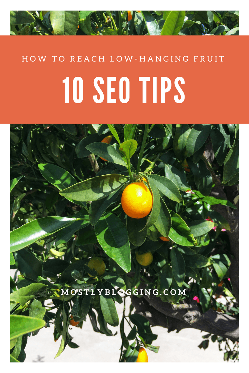 How to boost your organic traffic 10 tips
