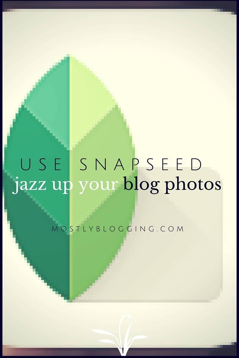 #Photography Snapseed Filters