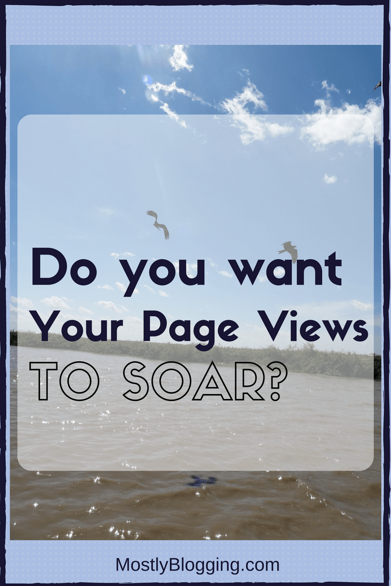 Are many page views more important than many comments? From Mostly Blogging