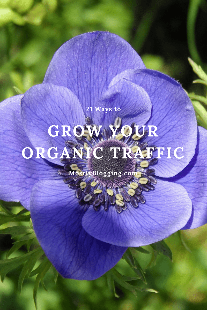 Grow Your Organic Traffic with these 21 tips